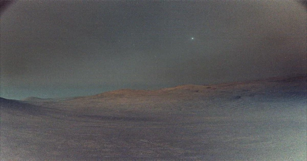 weird slightly fuzzy dead landscape